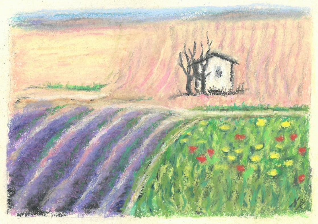 1 Lavendelfelder in der Provence ( Pastellkreide 1996)